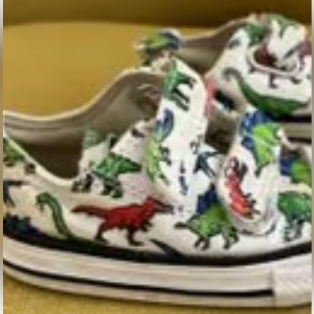 Converse dinosaur toddler size 5